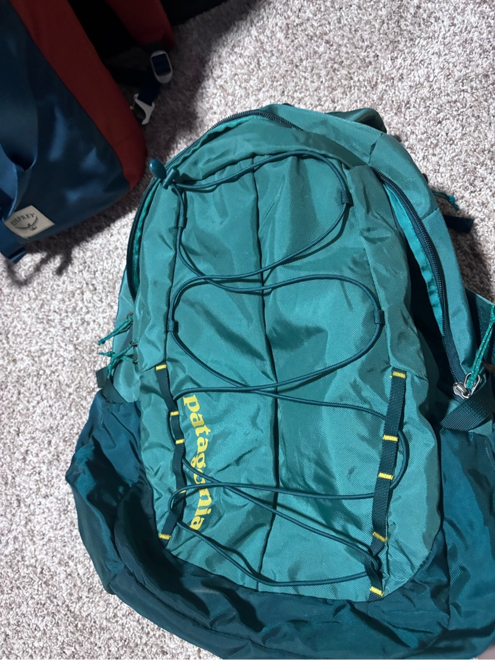 Patagonia Teal Green chacabuco 30l Daypack Backpack